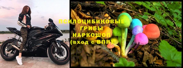 apvp Арсеньев