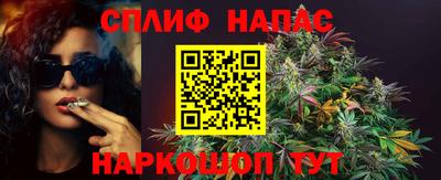 крисы Вышний Волочёк