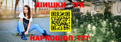 крисы Вышний Волочёк