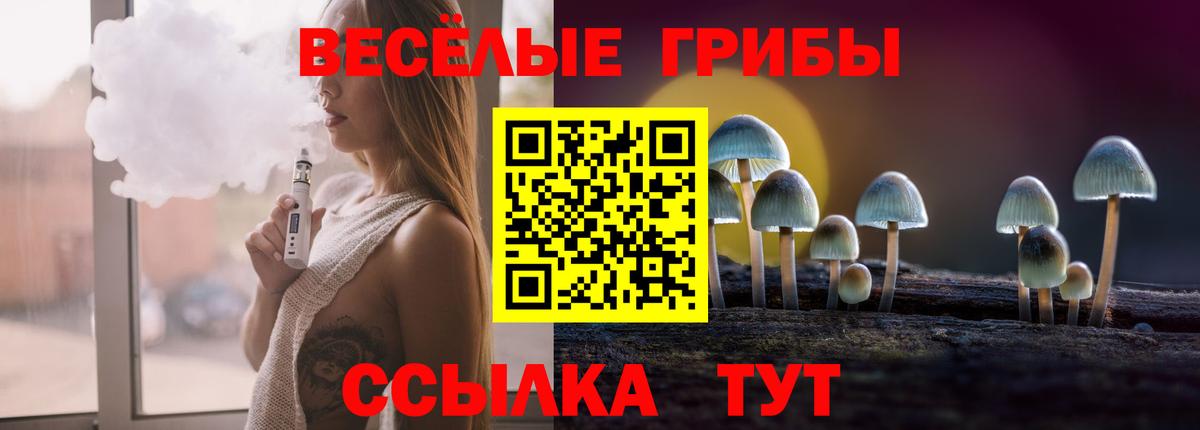 Тейково  Галлюциногенные грибы прущие грибы  Вход с VPN  Галлюциногенные грибы мицелий 