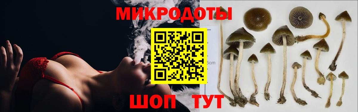 Галлюциногенные грибы Magic Shrooms Тейково